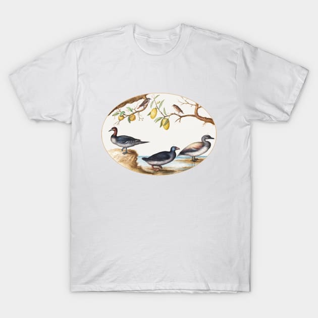 Three Waterfowl with Two Birds Perched in Citrus Trees (1575–1580) T-Shirt by WAITE-SMITH VINTAGE ART